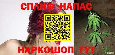 крисы Балаково