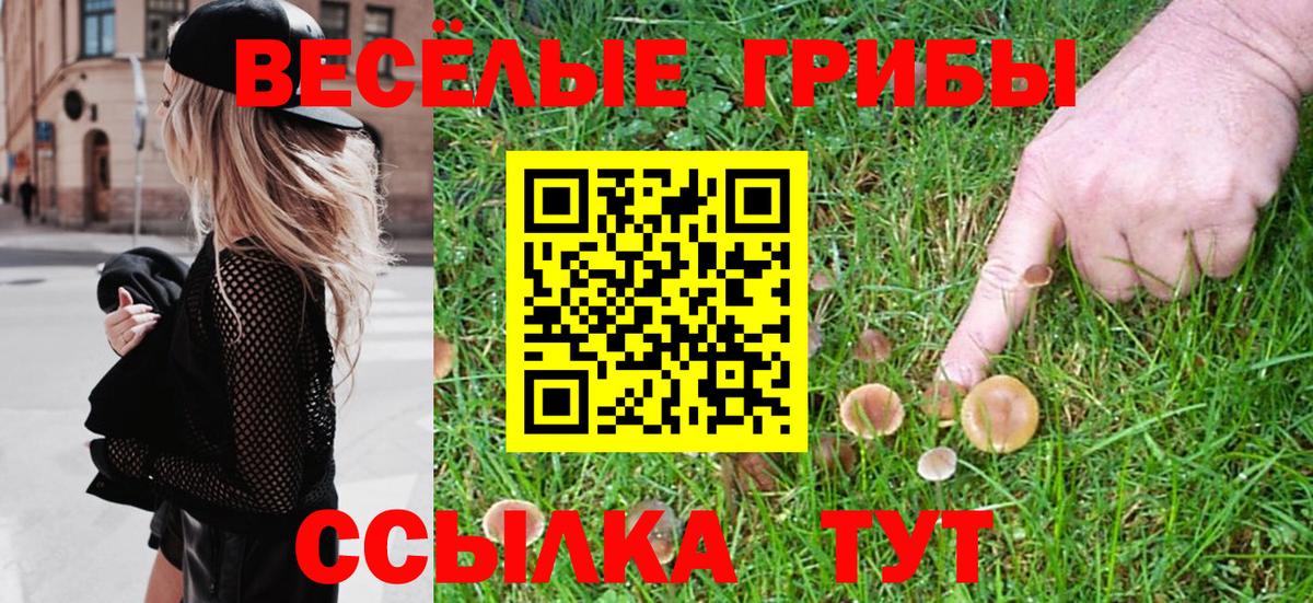 Псилоцибиновые грибы прущие грибы Жигулёвск
